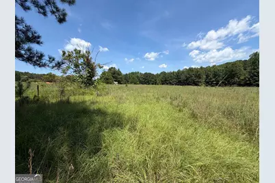 7.65 Acres Baker Rd, Shiloh, GA 31826 - Photo 16