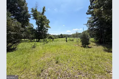 7.65 Acres Baker Rd, Shiloh, GA 31826 - Photo 4