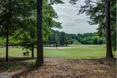 37 Forest Point, Newnan, GA 30265 - Photo 56