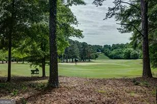37 Forest Point, Newnan, GA 30265 - Photo 56