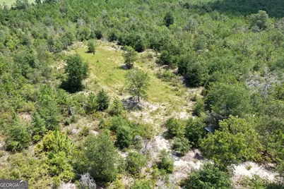 39.317 Ronnie Road, Buena Vista, GA 31803 - Photo 4