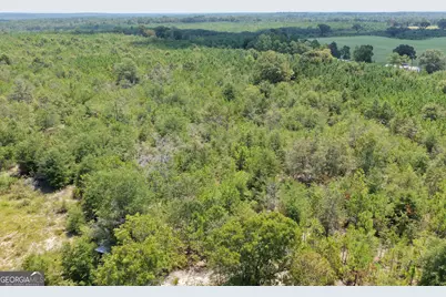39.317 Ronnie Road, Buena Vista, GA 31803 - Photo 6