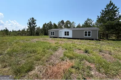 72 McLean Road, Lumber City, GA 31549 - Photo 6