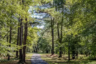 344 Horace Veal Rd, Milledgeville, GA 31061 - Photo 130