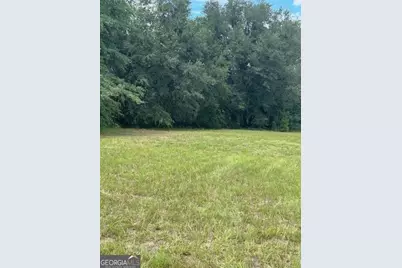 0 Lee Road, Pembroke, GA 31321 - Photo 6