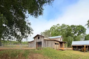 1525 Telfair Line Rd, Rhine, GA 31077 - Photo 60