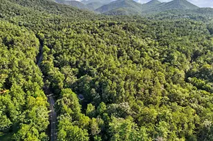 578 Hwy 356, Helen, GA 30545 - Photo 48
