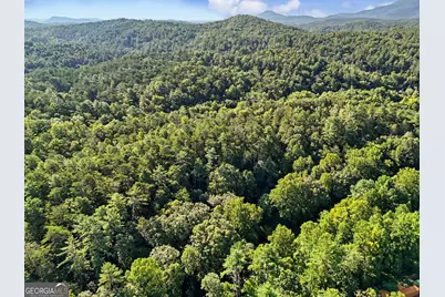578 Highway 356, Helen, GA 30545 - Photo 46
