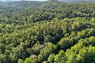 578 Hwy 356, Helen, GA 30545 - Photo 46