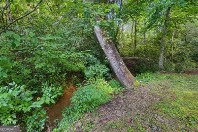 578 Highway 356, Helen, GA 30545 - Photo 12