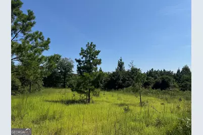 19.521 Ac Herman Bell Road, Mauk, GA 31058 - Photo 2