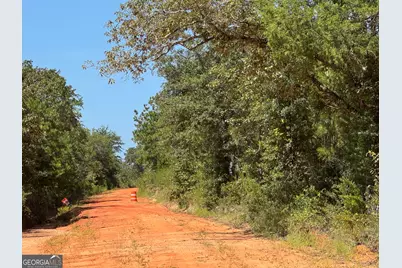19.521 Ac Herman Bell Road, Mauk, GA 31058 - Photo 4
