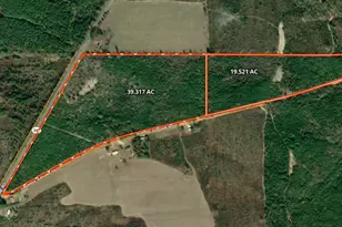 19 521 Ac Herman Bell Rd, Mauk, GA 31058 - Photo 1