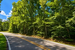 165 Cooper Valley Rd, Martin, GA 30557 - Photo 1