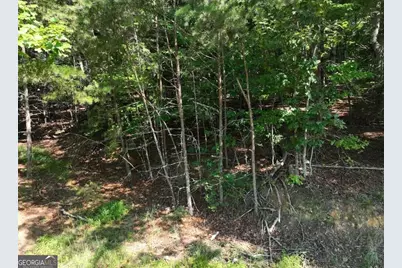 0 Popular Drive #LOT 4, Blairsville, GA 30512 - Photo 8