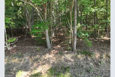 0 Popular Drive #LOT 4, Blairsville, GA 30512 - Photo 10