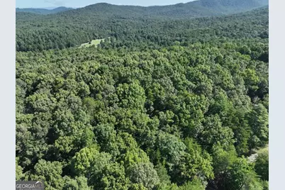 0 Popular Drive #LOT 4, Blairsville, GA 30512 - Photo 18