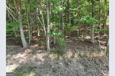 0 Popular Drive #LOT 4, Blairsville, GA 30512 - Photo 12