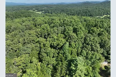 0 Popular Drive #LOT 4, Blairsville, GA 30512 - Photo 16