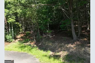 0 Popular Drive #LOT 4, Blairsville, GA 30512 - Photo 14
