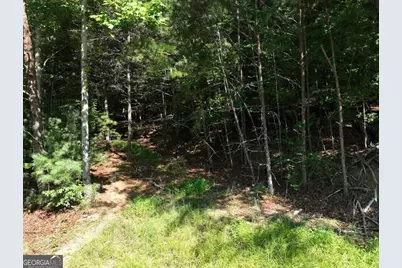 0 Popular Drive #LOT 4, Blairsville, GA 30512 - Photo 6