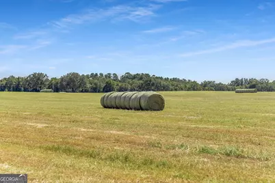 1110 US Highway 280 W, Reidsville, GA 30453 - Photo 36