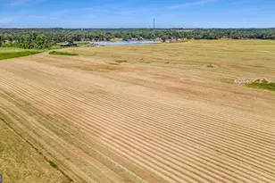 1110 US Hwy 280 W, Reidsville, GA 30453 - Photo 62