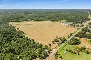 1110 US Hwy 280 W, Reidsville, GA 30453 - Photo 68