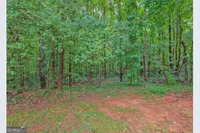1524 Welcome Home Road, Mount Airy, GA 30563 - Photo 36