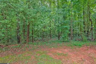 1524 Welcome Home Rd, Mount Airy, GA 30563 - Photo 36