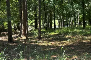1191 Lake View Ct, Greensboro, GA 30642 - Photo 1