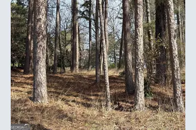 1191 Lakeview Court, Greensboro, GA 30642 - Photo 6