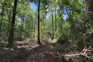 Lot 17 Smith Rd, Thomaston, GA 30286 - Photo 1