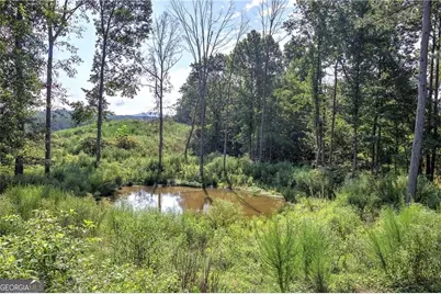 0 Pearl Johnson Road, Ranger, GA 30734 - Photo 8