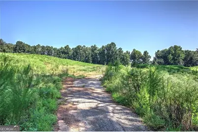 0 Pearl Johnson Road, Ranger, GA 30734 - Photo 14
