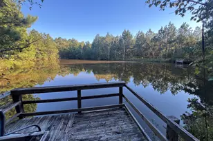869 Orianna Rd, East Dublin, GA 31027 - Photo 16