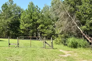 869 Orianna Rd, East Dublin, GA 31027 - Photo 12