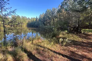 869 Orianna Rd, East Dublin, GA 31027 - Photo 14