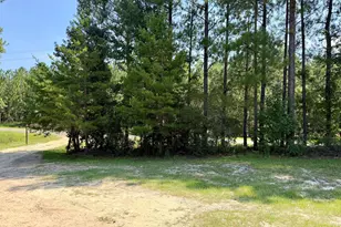 869 Orianna Rd, East Dublin, GA 31027 - Photo 8