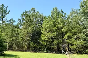869 Orianna Rd, East Dublin, GA 31027 - Photo 10