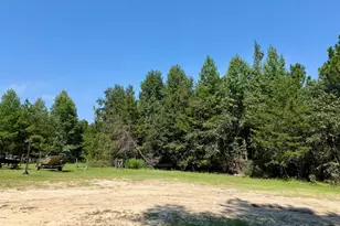 869 Orianna Rd, East Dublin, GA 31027 - Photo 8