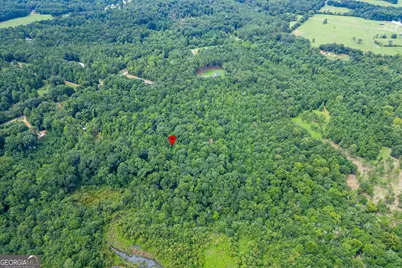 0 Borders Road, Commerce, GA 30530 - Photo 6