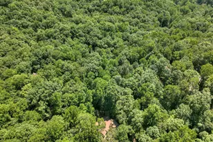 162 Primrose Ct, Ellijay, GA 30540 - Photo 54