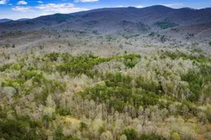 10042 Doublehead Gap Rd, Blue Ridge, GA 30513 - Photo 10