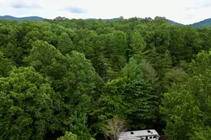 10042 Doublehead Gap Rd, Blue Ridge, GA 30513 - Photo 34