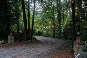 10042 Doublehead Gap Rd, Blue Ridge, GA 30513 - Photo 36