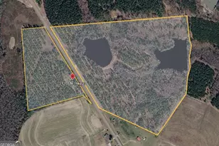 21201 N Hwy 23, Metter, GA 30439 - Photo 1