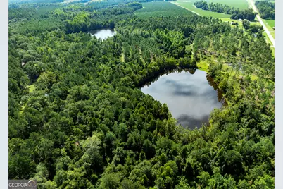 21201 N Hwy 23, Metter, GA 30439 - Photo 8