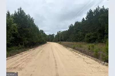L11 N Indian Trail Road, Sandersville, GA 31082 - Photo 2