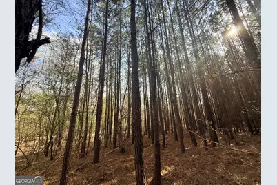 13 Hollis Norman Road, Washington, GA 30673 - Photo 34